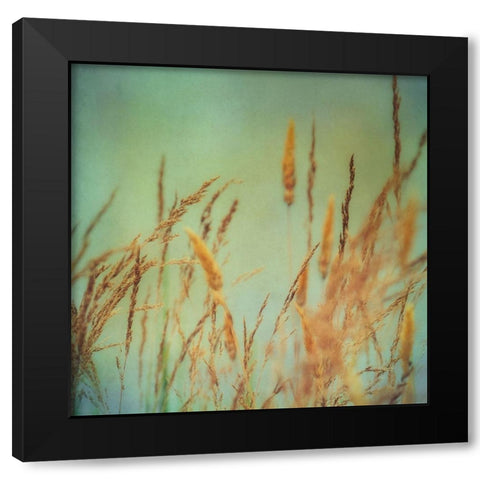 Prairie Grass 1 Black Modern Wood Framed Art Print with Double Matting by Poinski, Dianne