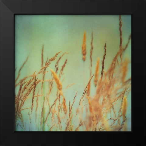 Prairie Grass 1 Black Modern Wood Framed Art Print by Poinski, Dianne