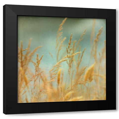 Prairie Grass 2 Black Modern Wood Framed Art Print with Double Matting by Poinski, Dianne