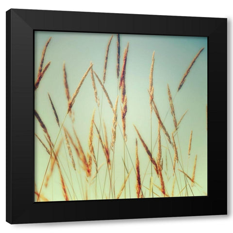 Steppe Carpet 1 Black Modern Wood Framed Art Print by Poinski, Dianne