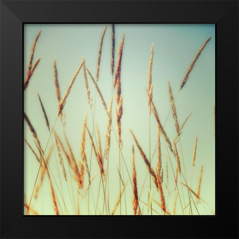 Steppe Carpet 1 Black Modern Wood Framed Art Print by Poinski, Dianne