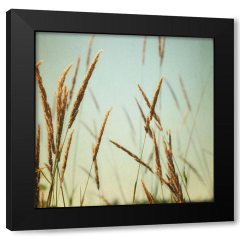 Steppe Carpet 2 Black Modern Wood Framed Art Print with Double Matting by Poinski, Dianne