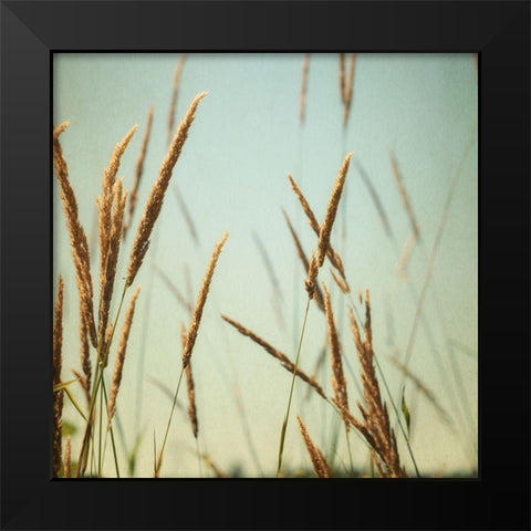 Steppe Carpet 2 Black Modern Wood Framed Art Print by Poinski, Dianne