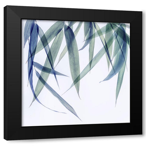 Vibrant Bamboo 2 Black Modern Wood Framed Art Print by Poinski, Dianne