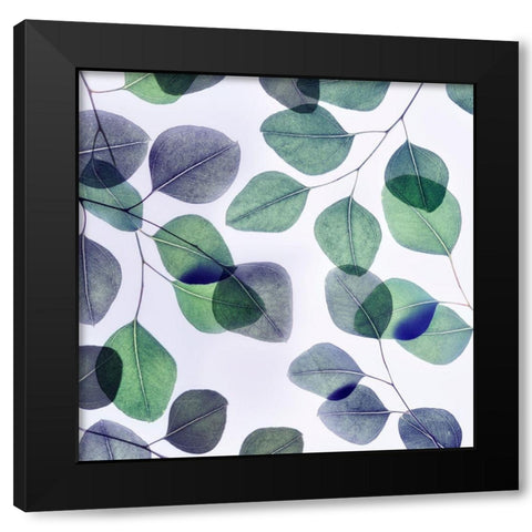 Vibrant Leaves 2 Black Modern Wood Framed Art Print by Poinski, Dianne