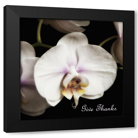 Give Thanks Orchids Black Modern Wood Framed Art Print by Poinski, Dianne