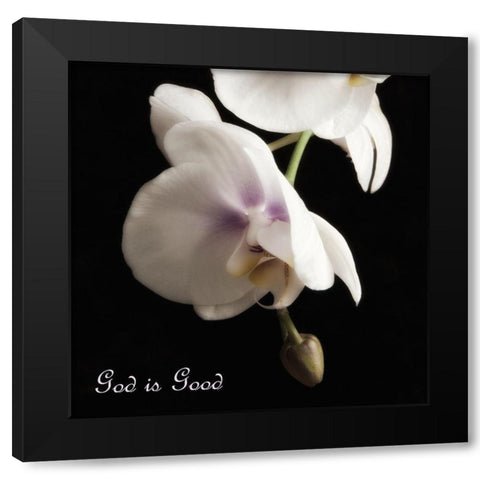 Good Orchids Black Modern Wood Framed Art Print by Poinski, Dianne