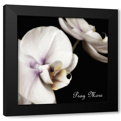 Pray Orchids Black Modern Wood Framed Art Print with Double Matting by Poinski, Dianne
