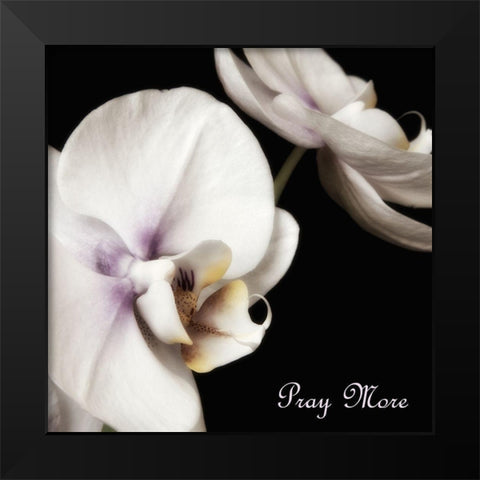 Pray Orchids Black Modern Wood Framed Art Print by Poinski, Dianne