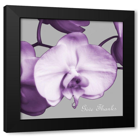 Thankful Orchids Black Modern Wood Framed Art Print with Double Matting by Poinski, Dianne