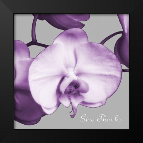 Thankful Orchids Black Modern Wood Framed Art Print by Poinski, Dianne