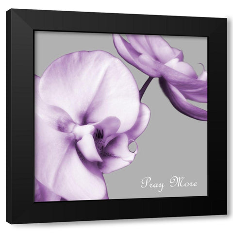 Praying Orchids Black Modern Wood Framed Art Print with Double Matting by Poinski, Dianne