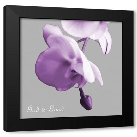 Godly Good Orchids Black Modern Wood Framed Art Print by Poinski, Dianne
