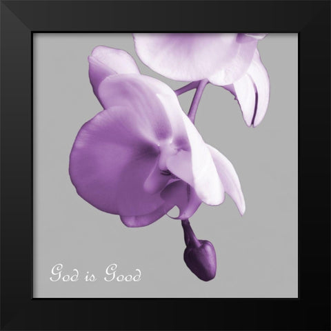 Godly Good Orchids Black Modern Wood Framed Art Print by Poinski, Dianne