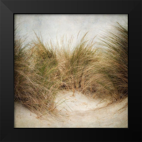 Beach Grasses 1 Black Modern Wood Framed Art Print by Poinski, Dianne