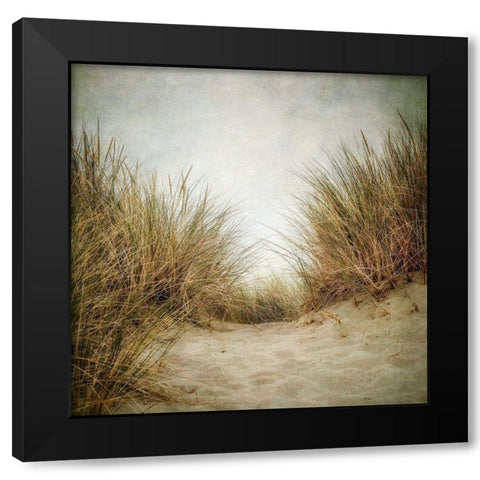 Beach Grasses 2 Black Modern Wood Framed Art Print with Double Matting by Poinski, Dianne