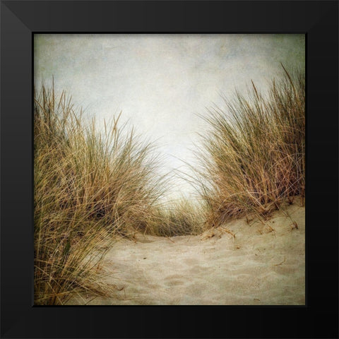 Beach Grasses 2 Black Modern Wood Framed Art Print by Poinski, Dianne