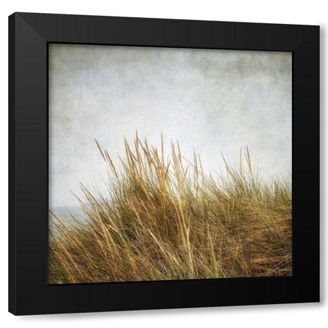 Beach Grasses 3 Black Modern Wood Framed Art Print with Double Matting by Poinski, Dianne