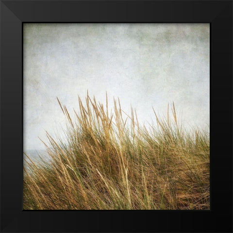 Beach Grasses 3 Black Modern Wood Framed Art Print by Poinski, Dianne