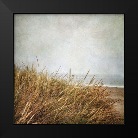 Beach Grasses 4 Black Modern Wood Framed Art Print by Poinski, Dianne