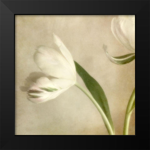 Ivory Blossom II Black Modern Wood Framed Art Print by Poinski, Dianne