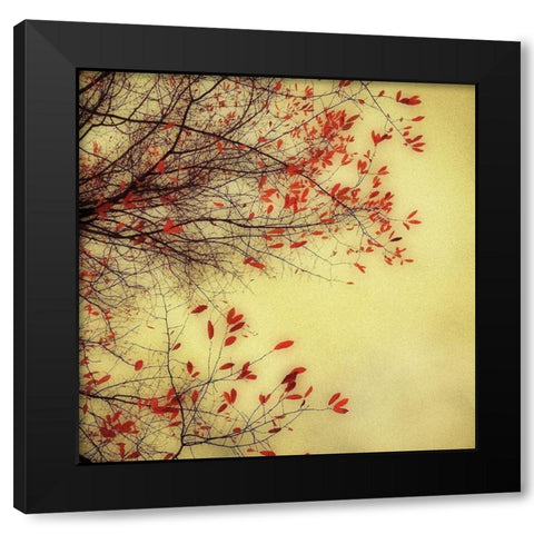 Autumn Red and Gold 1 Black Modern Wood Framed Art Print with Double Matting by Poinski, Dianne