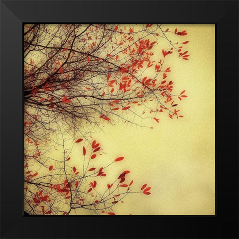 Autumn Red and Gold 1 Black Modern Wood Framed Art Print by Poinski, Dianne