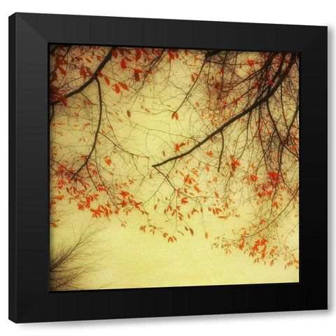 Autumn Red and Gold 2 Black Modern Wood Framed Art Print by Poinski, Dianne