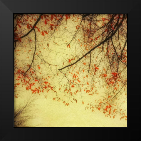 Autumn Red and Gold 2 Black Modern Wood Framed Art Print by Poinski, Dianne