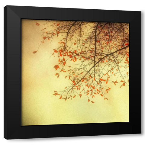 Autumn Red and Gold 3 Black Modern Wood Framed Art Print with Double Matting by Poinski, Dianne