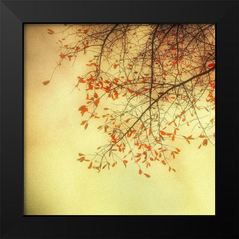 Autumn Red and Gold 3 Black Modern Wood Framed Art Print by Poinski, Dianne