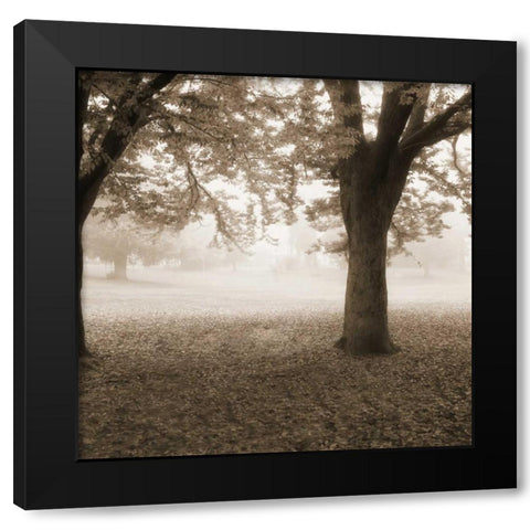 Eventide Park No Table Black Modern Wood Framed Art Print by Poinski, Dianne