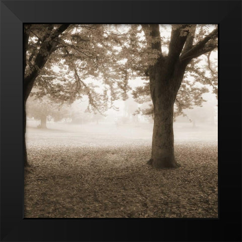 Eventide Park No Table Black Modern Wood Framed Art Print by Poinski, Dianne