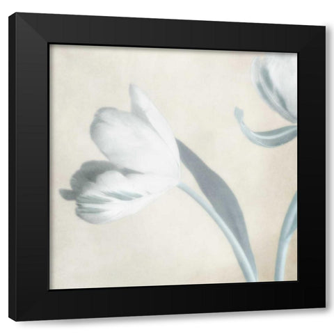 Whispering Sky 2 Black Modern Wood Framed Art Print by Poinski, Dianne