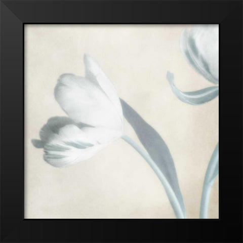 Whispering Sky 2 Black Modern Wood Framed Art Print by Poinski, Dianne
