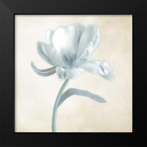 Blue Ivory Blossom 1 Black Modern Wood Framed Art Print by Poinski, Dianne