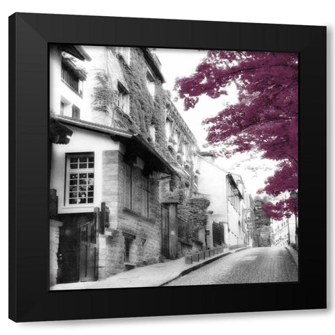 Eggplant Montmartre Black Modern Wood Framed Art Print by Poinski, Dianne