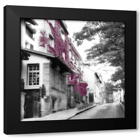 Eggplant Montmartre Black Modern Wood Framed Art Print with Double Matting by Poinski, Dianne