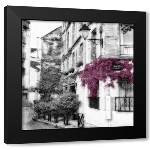 Eggplant RuePoulbo 2 Black Modern Wood Framed Art Print with Double Matting by Poinski, Dianne