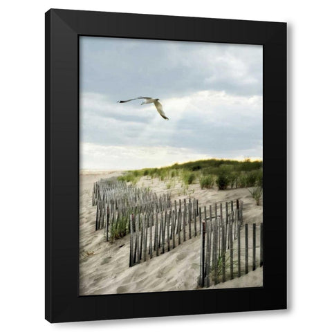 Dawning Seagull and Godbeams Black Modern Wood Framed Art Print by Rowland, Joseph