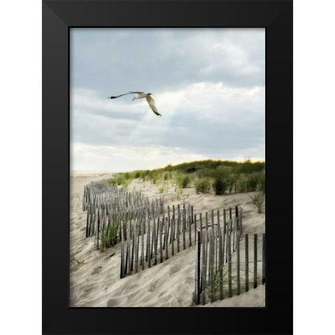 Dawning Seagull and Godbeams Black Modern Wood Framed Art Print by Rowland, Joseph