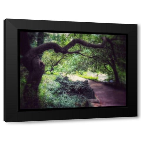 Central Park Tree Black Modern Wood Framed Art Print by Rowland, Joseph