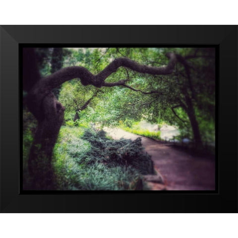 Central Park Tree Black Modern Wood Framed Art Print by Rowland, Joseph