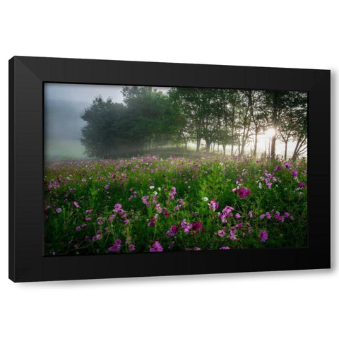 Flower Field Black Modern Wood Framed Art Print with Double Matting by Rowland, Joseph