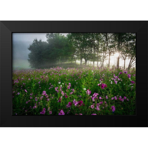 Flower Field Black Modern Wood Framed Art Print by Rowland, Joseph