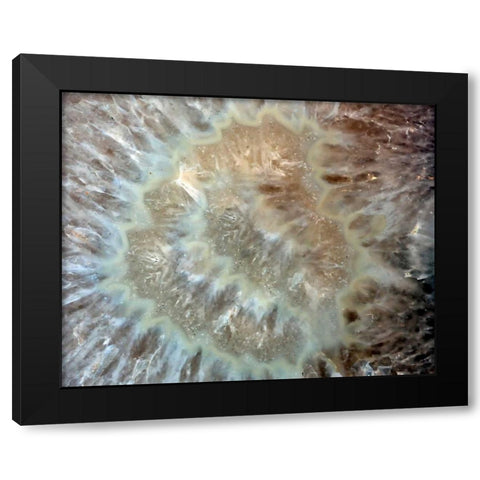 Chewy Minerals Black Modern Wood Framed Art Print by De Carvalho, Sandro