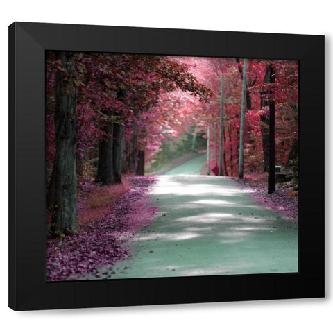 Forest Blush Black Modern Wood Framed Art Print with Double Matting by De Carvalho, Sandro