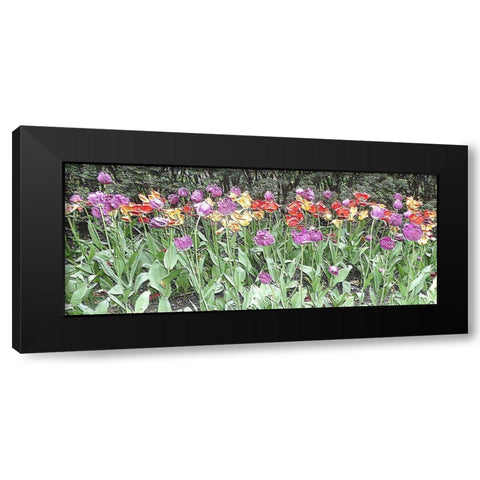 Take Your Pick Black Modern Wood Framed Art Print with Double Matting by Ghanooni, Sarah