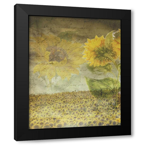 Dear Sunflower Field Black Modern Wood Framed Art Print with Double Matting by Haynes, Smith