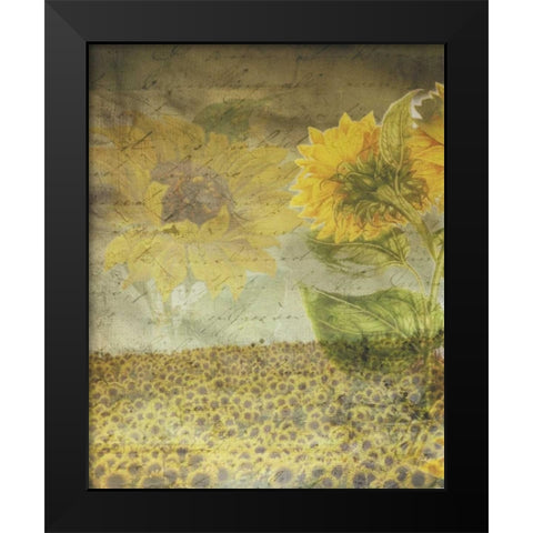 Dear Sunflower Field Black Modern Wood Framed Art Print by Haynes, Smith